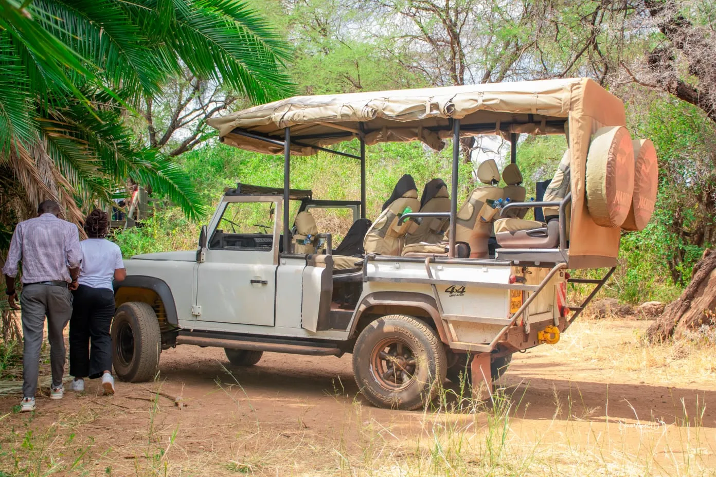 Best Time to Visit Kenya: Monthly Guide
