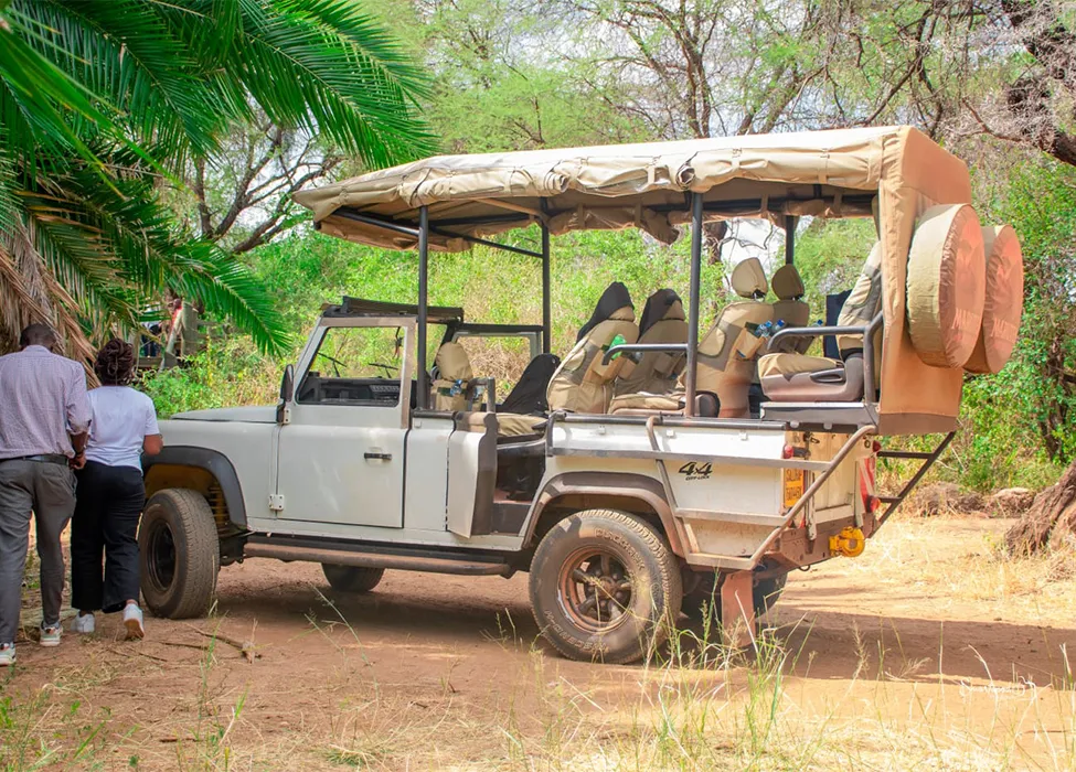 Marutek Safari Experience