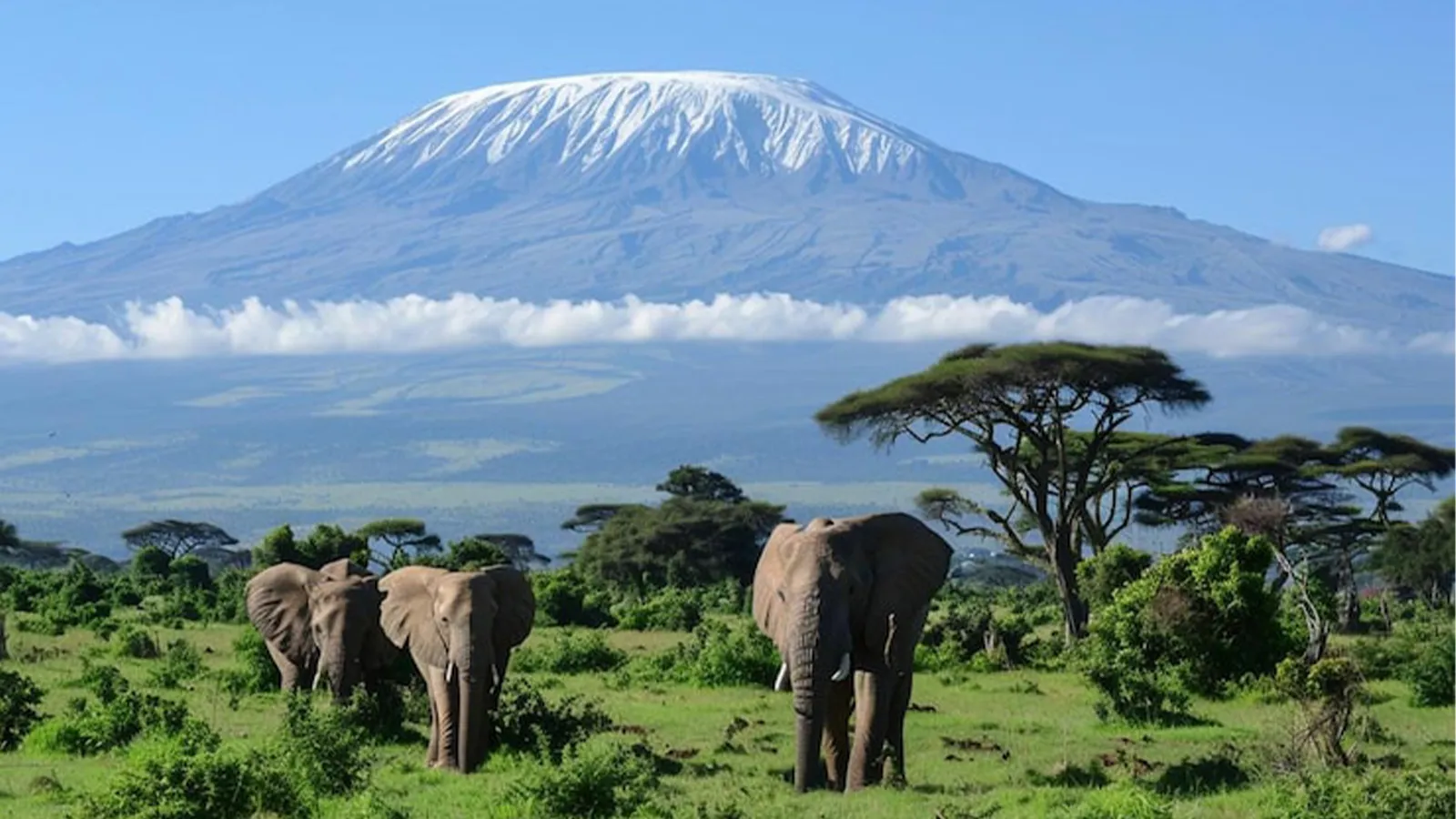Amboseli Safari – along the shadows of Kilimanjaro Views