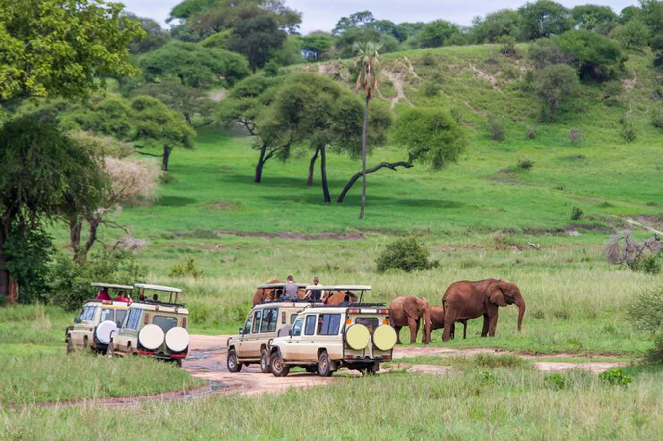 Aberdare Country Club & Samburu Safari Kenya – Tree Lodge & Northern Wilderness Adventure