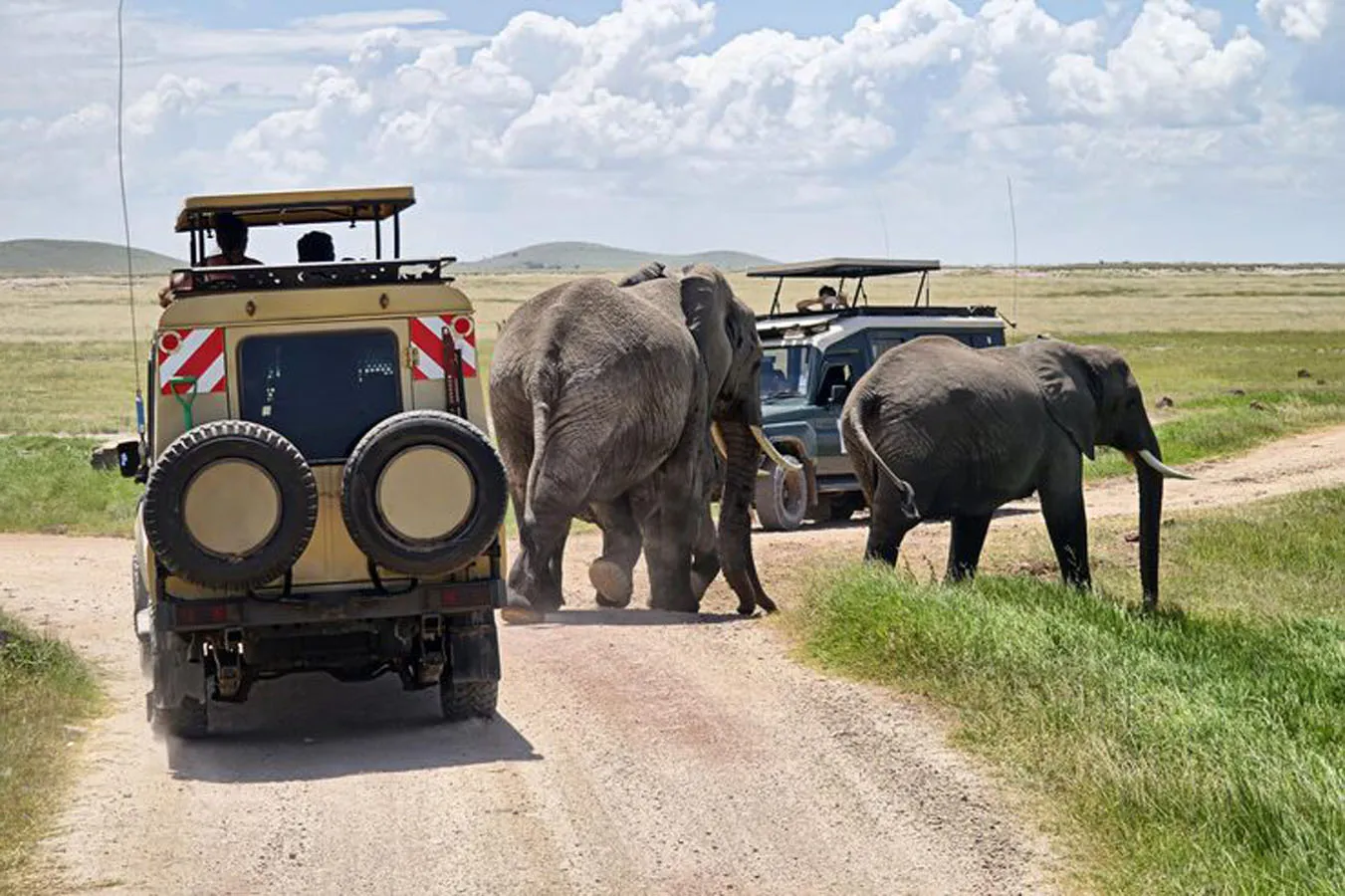 Best of Kenya Safari – Masai Mara, Lake Nakuru & Amboseli Wildlife Adventure